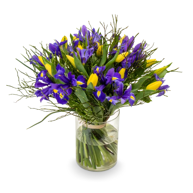 Bouquet of spring flowers